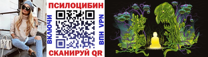Псилоцибиновые грибы GOLDEN TEACHER  KRAKEN ССЫЛКА  Выборг  где продают наркотики 
